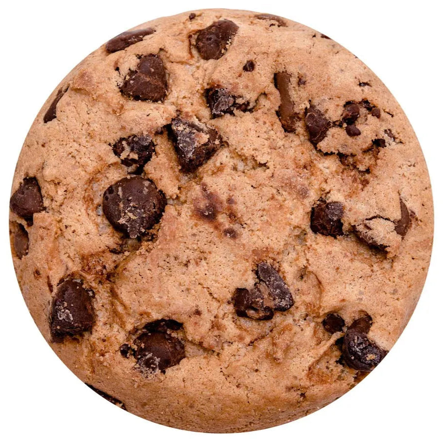 Chocolate Chip Cookie Blanket