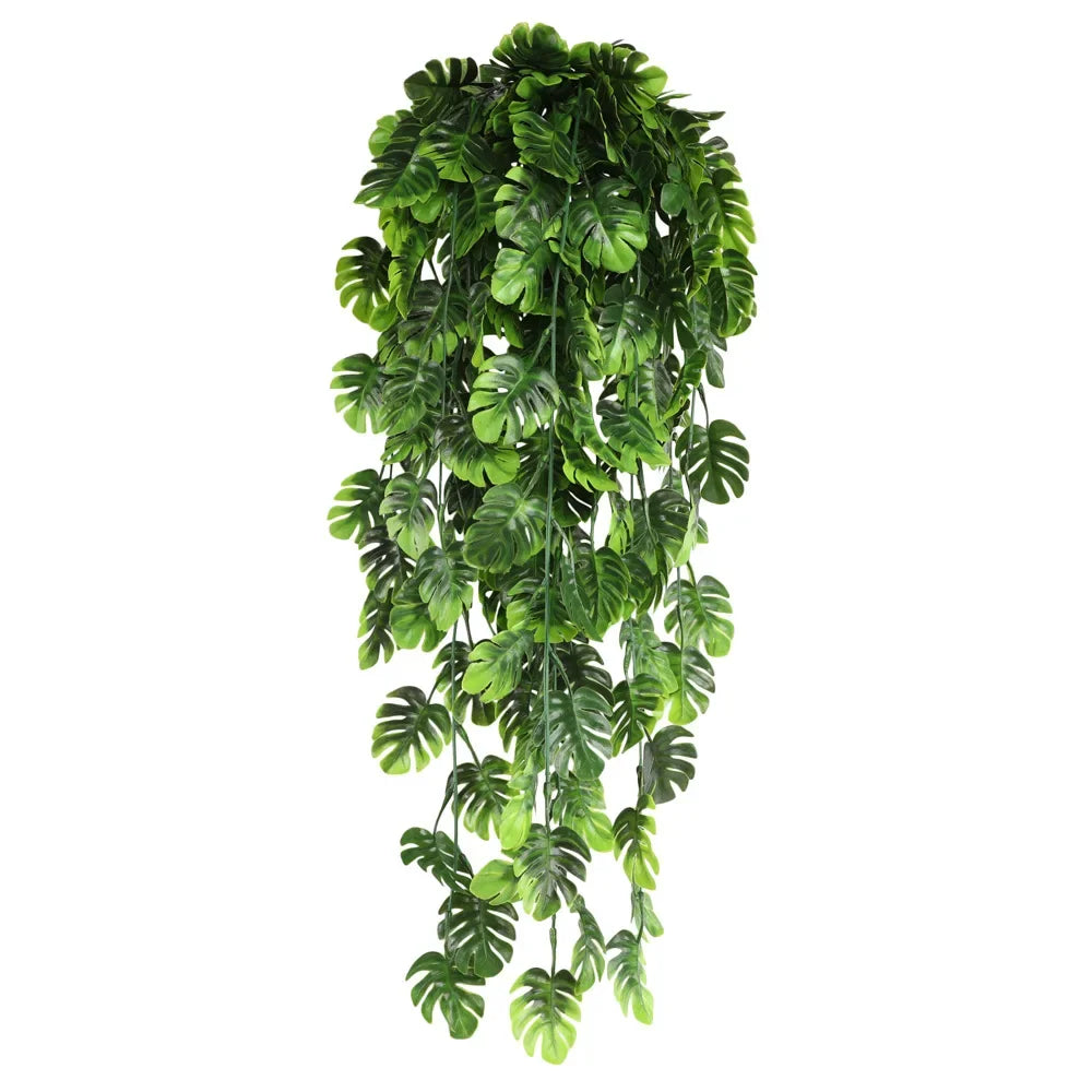 Hanging Plant