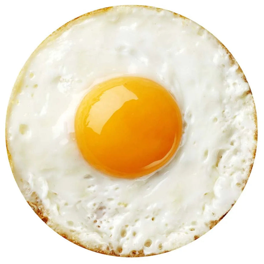 Sunny Side Up Egg Blanket