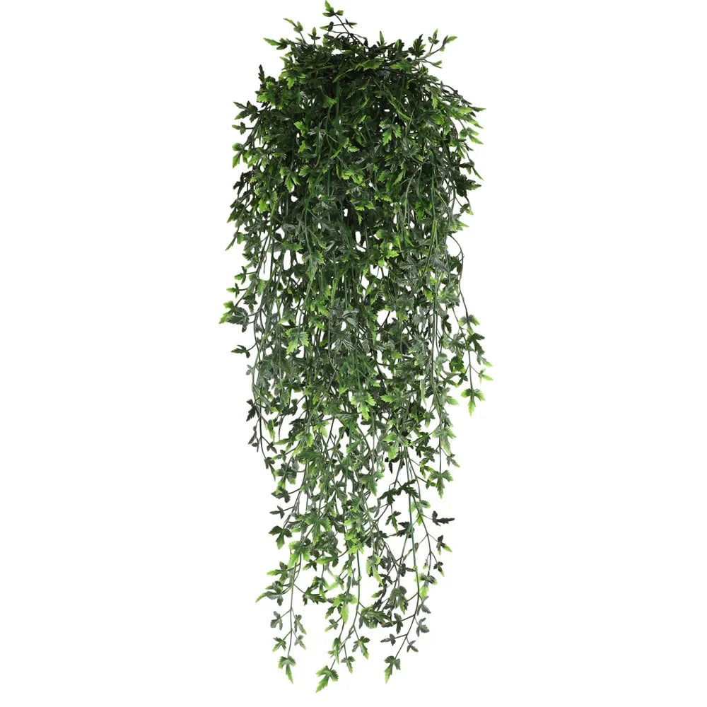 Hanging Plant