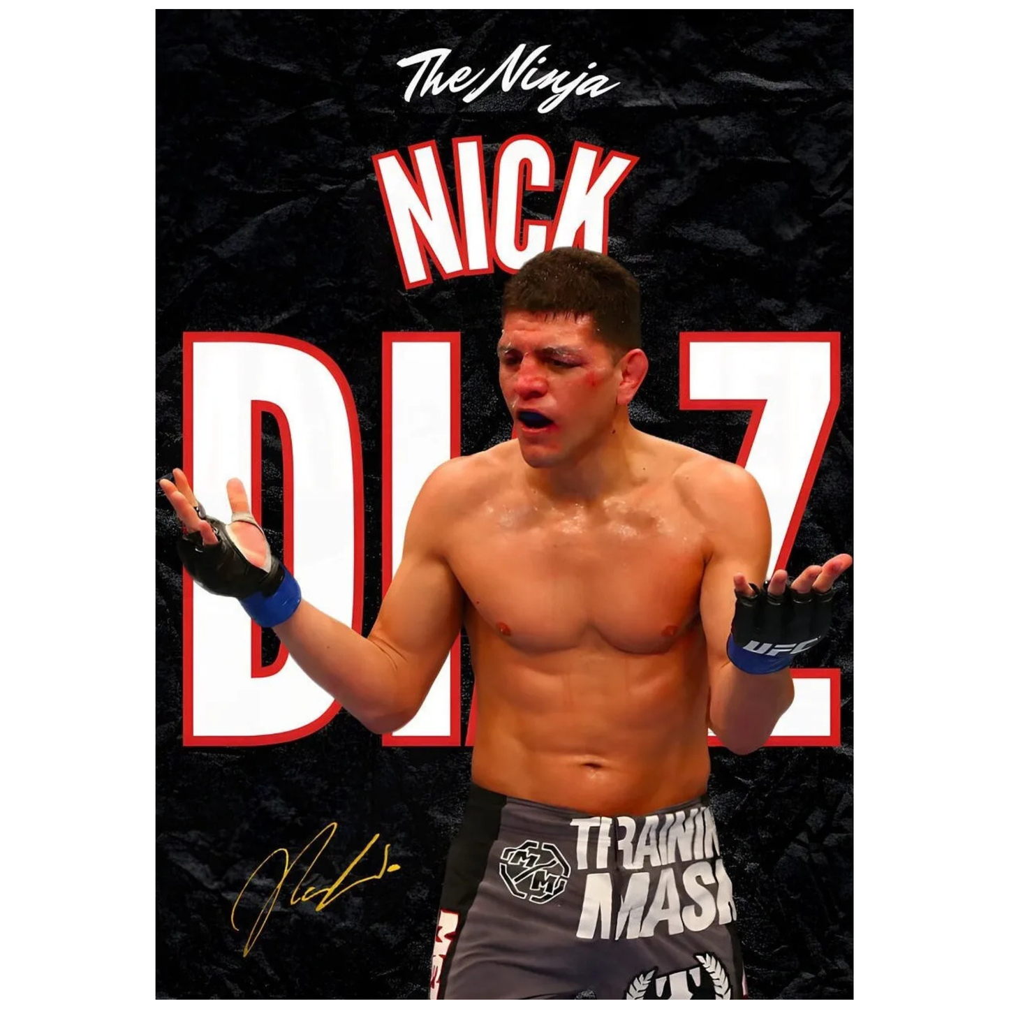 Nick Diaz UFC Fighter Poster