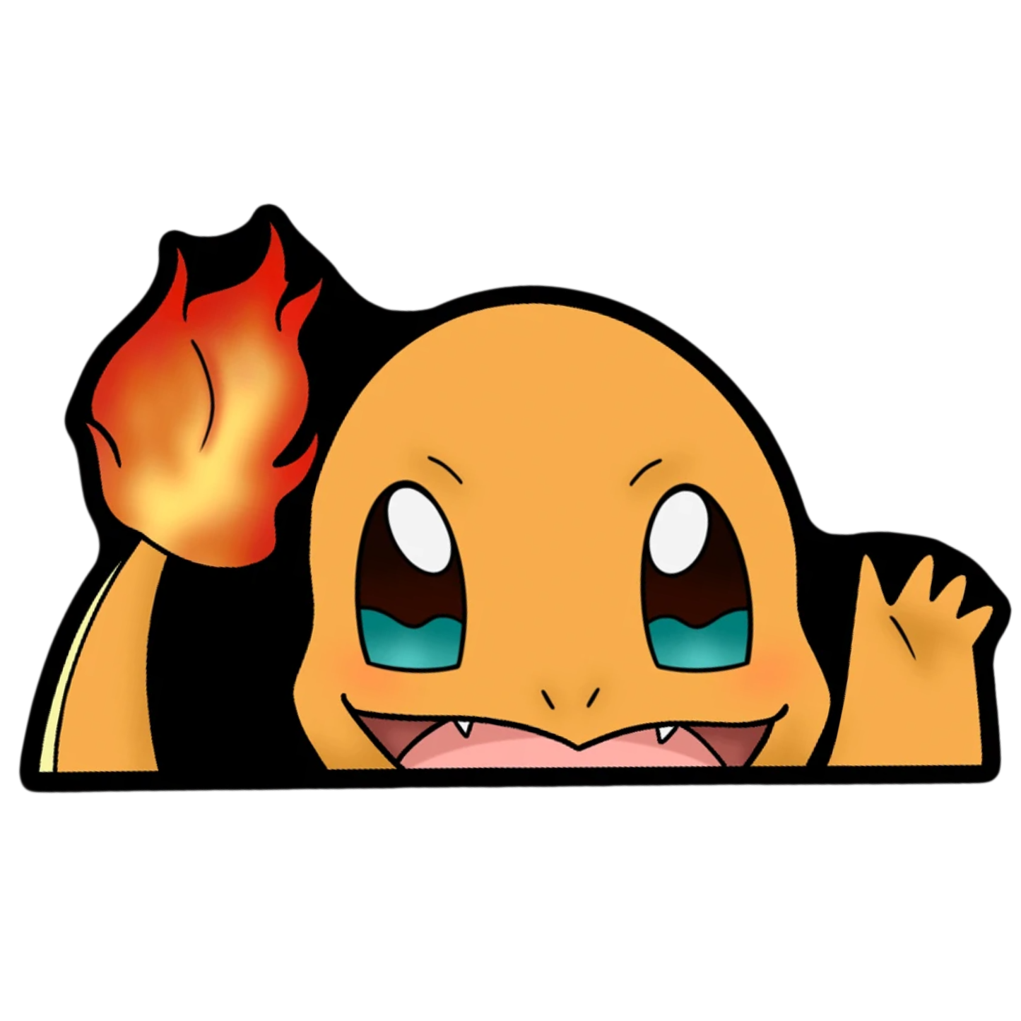 Pokémon Charmander Rug