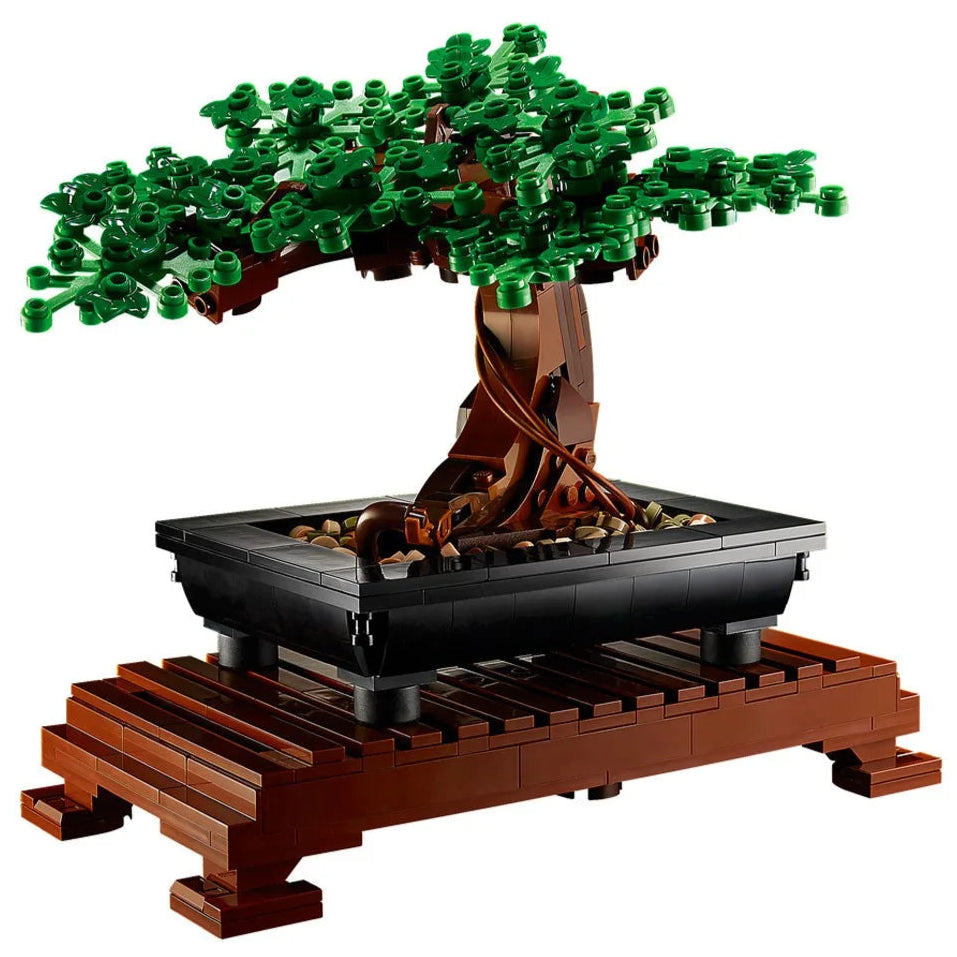 Cherry Blossom Bonsai Tree Garden