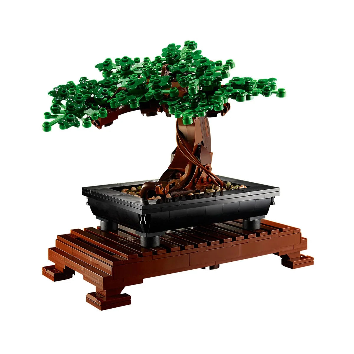 Bonsai Tree Garden