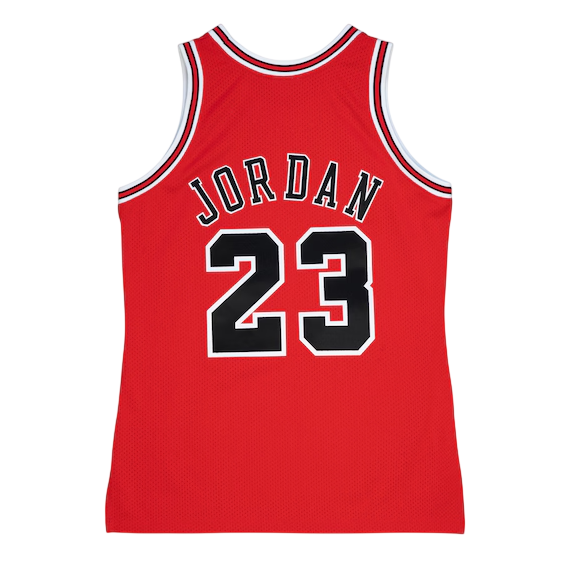 Michael Jordan Chicago Bulls Jersey Rug