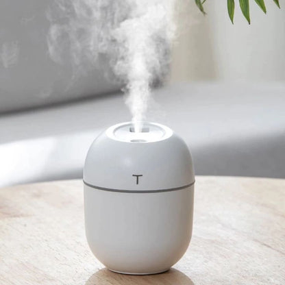 Mini Humidifier