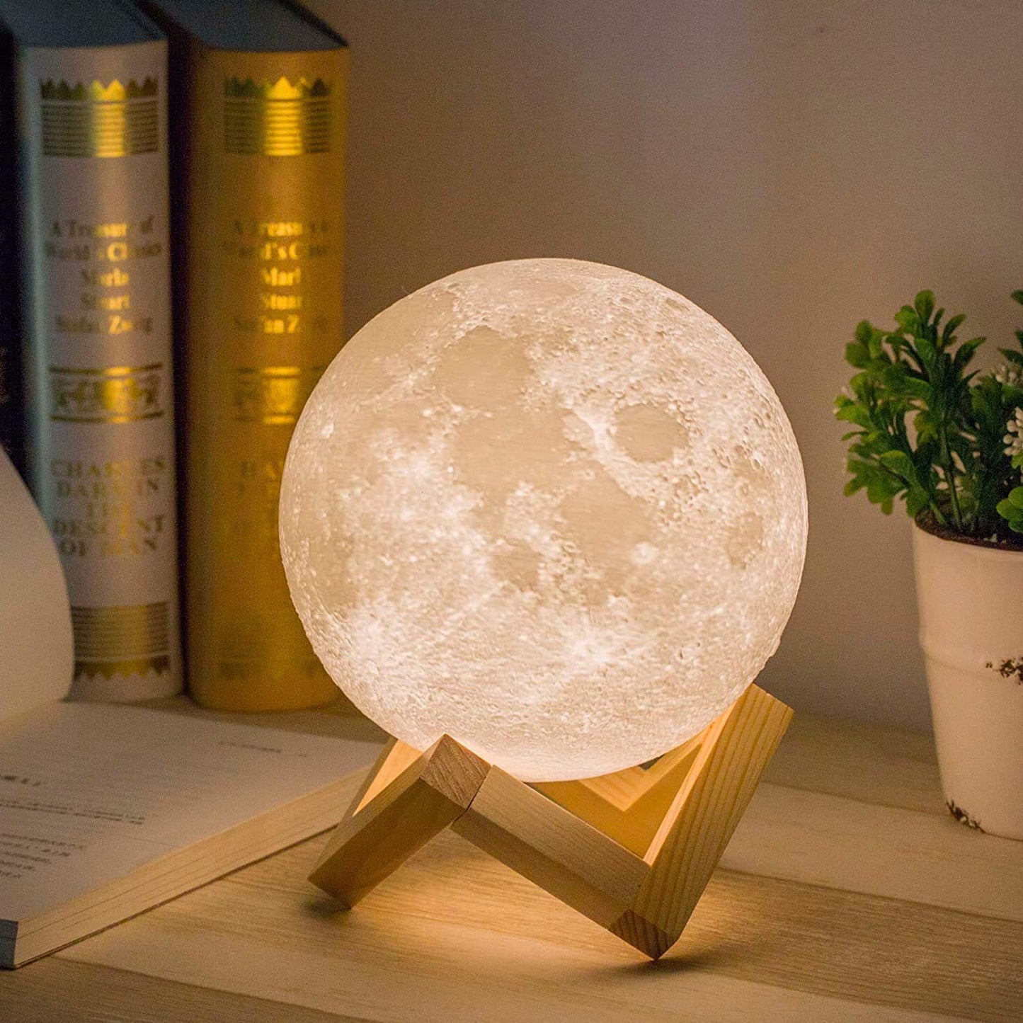 Moon Lamp