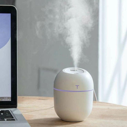 Mini Humidifier