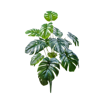 Jungle Floor Plant