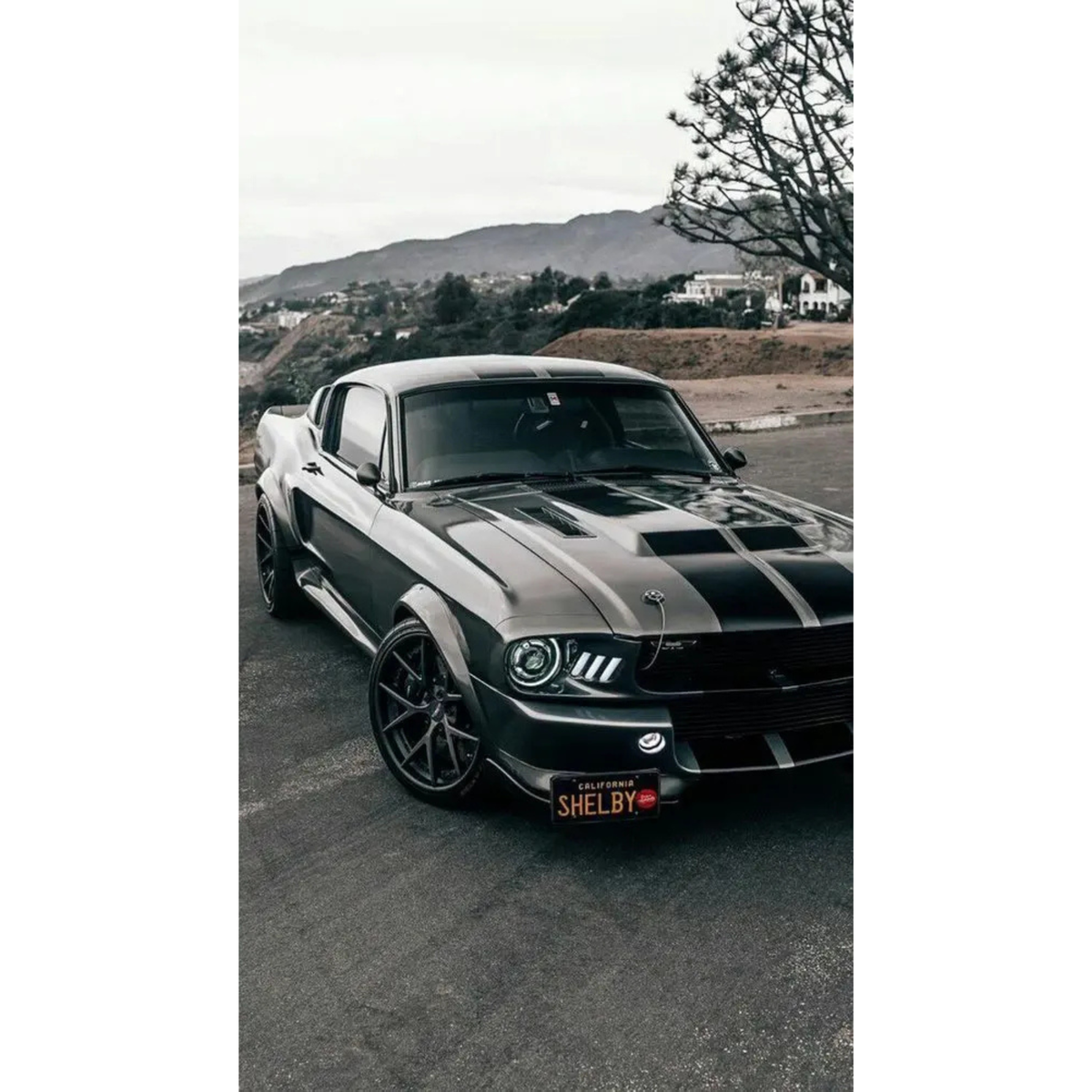 Ford Mustang Shelby GT500 "Eleanor" Poster