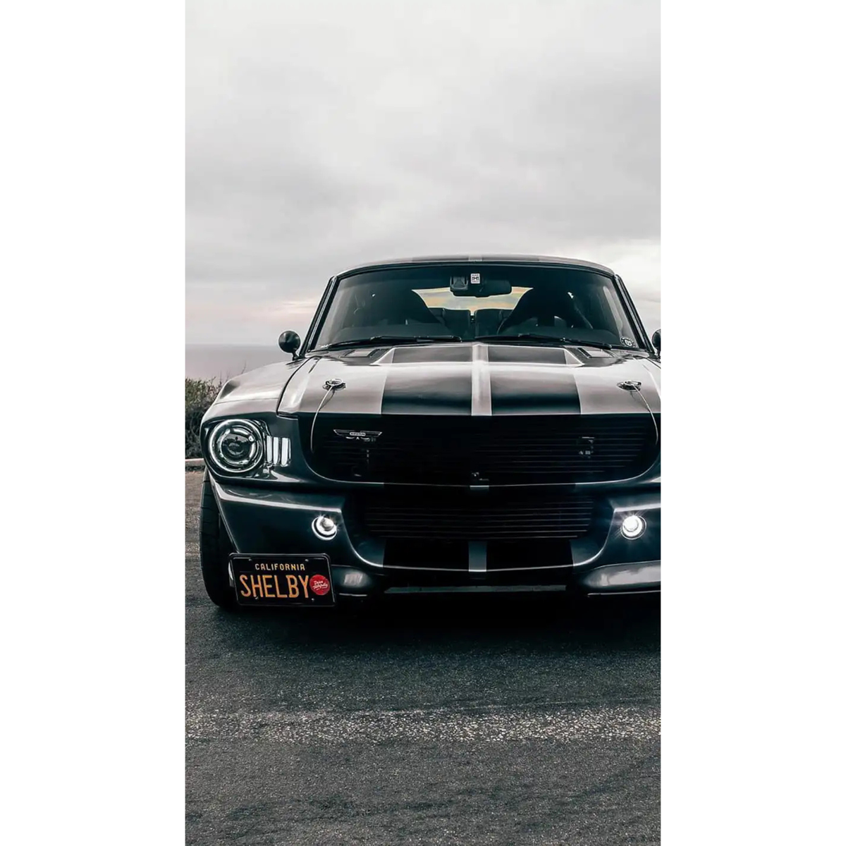 Ford Mustang Shelby GT500 "Eleanor" Poster