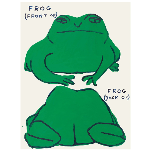 Frog Poster