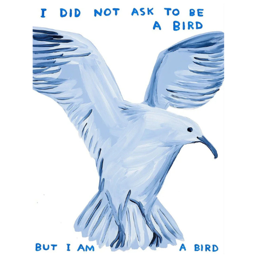 I Did Not Ask To Be A Bird Poster