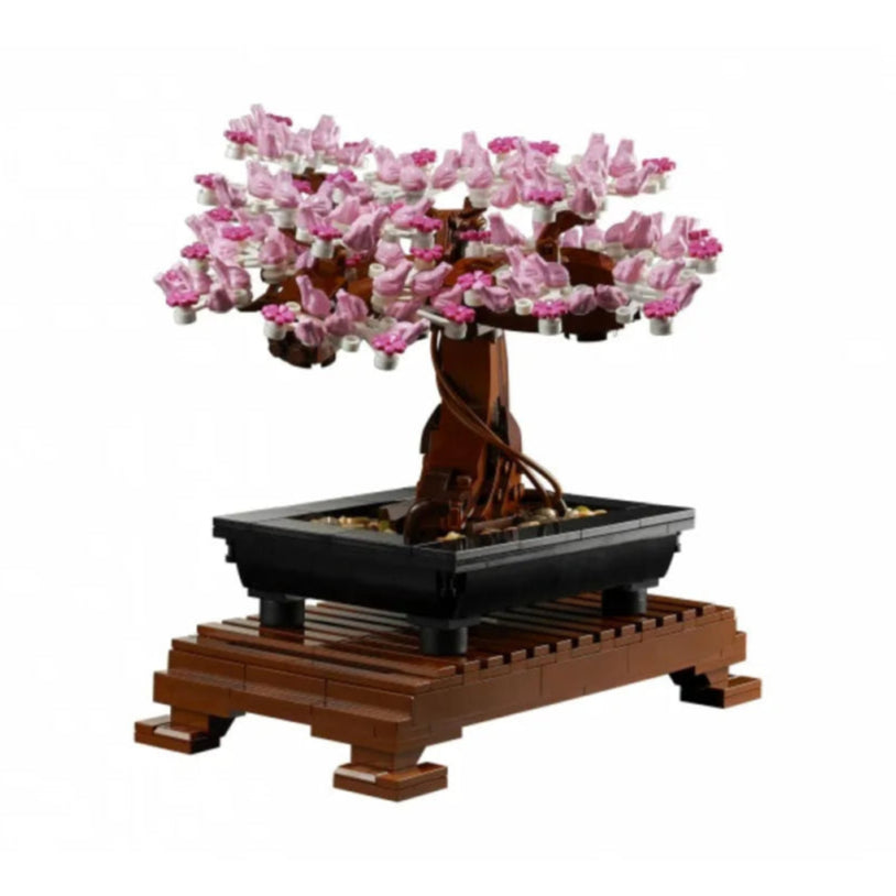 Cherry Blossom Bonsai Tree Garden