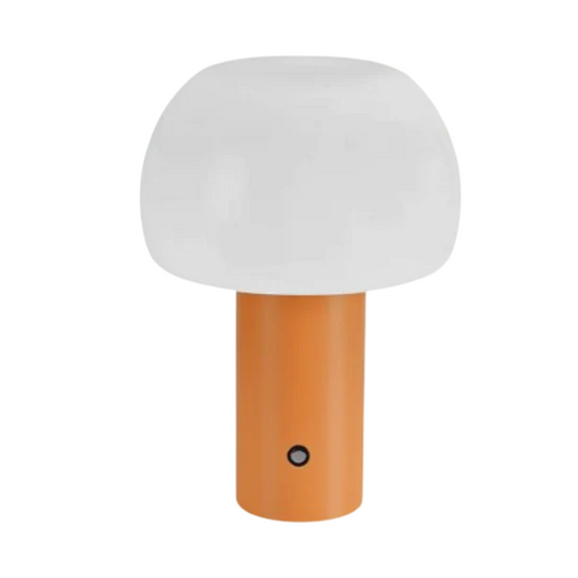 Oval Lamp