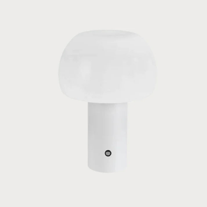 Oval Lamp