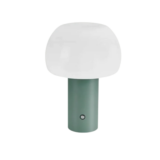 Oval Lamp