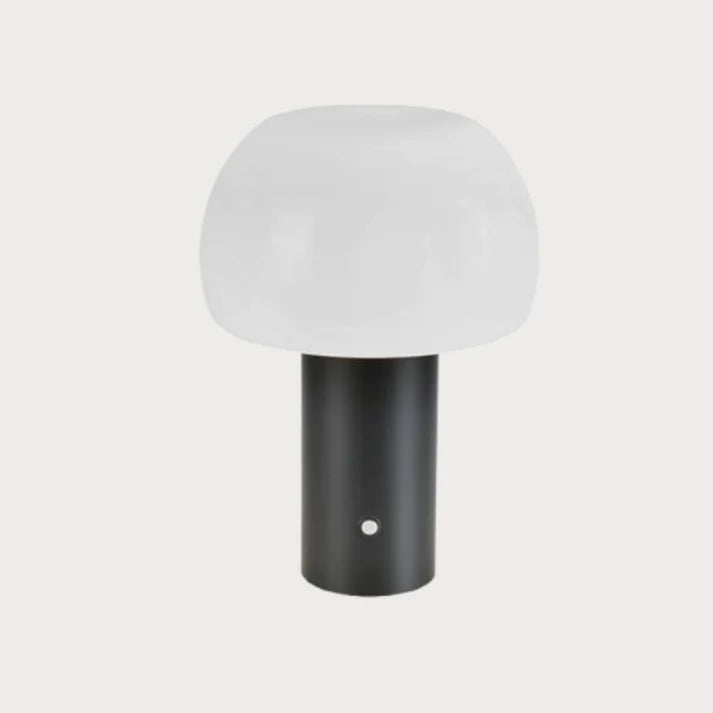Oval Lamp