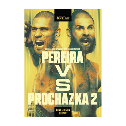 UFC 303: Pereira vs. Procházka 2 Event Poster