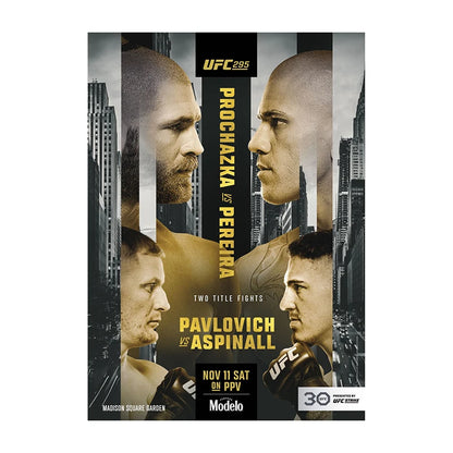 UFC 295: Procházka vs. Pereira Event Poster
