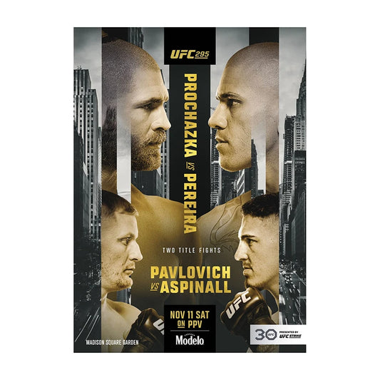 UFC 295: Procházka vs. Pereira Event Poster