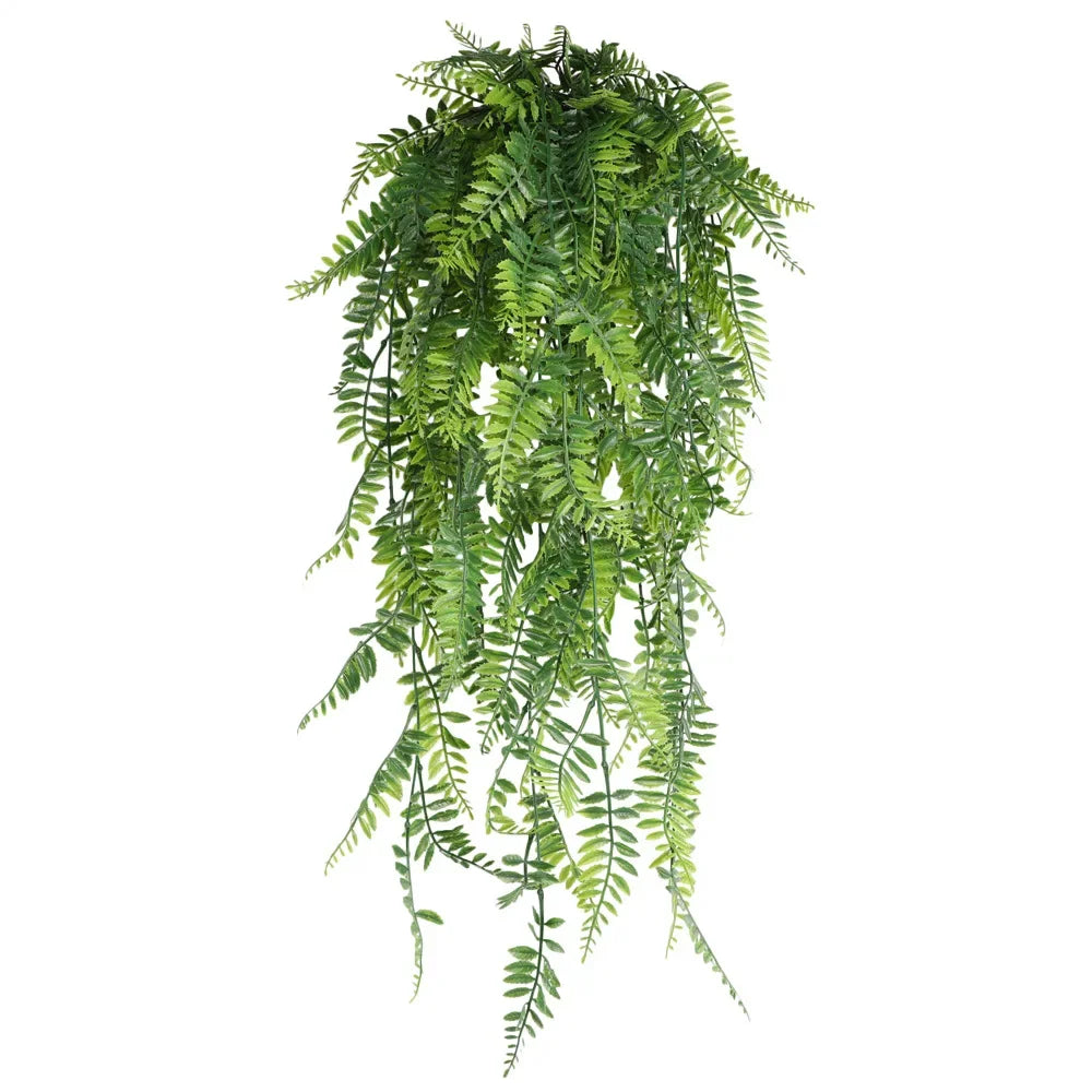 Hanging Plant
