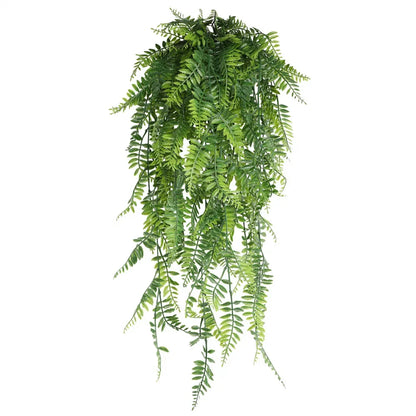 Hanging Plant