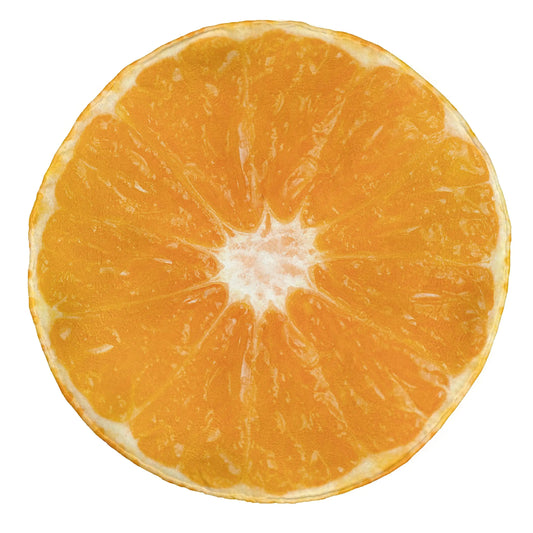 Orange Slice Blanket