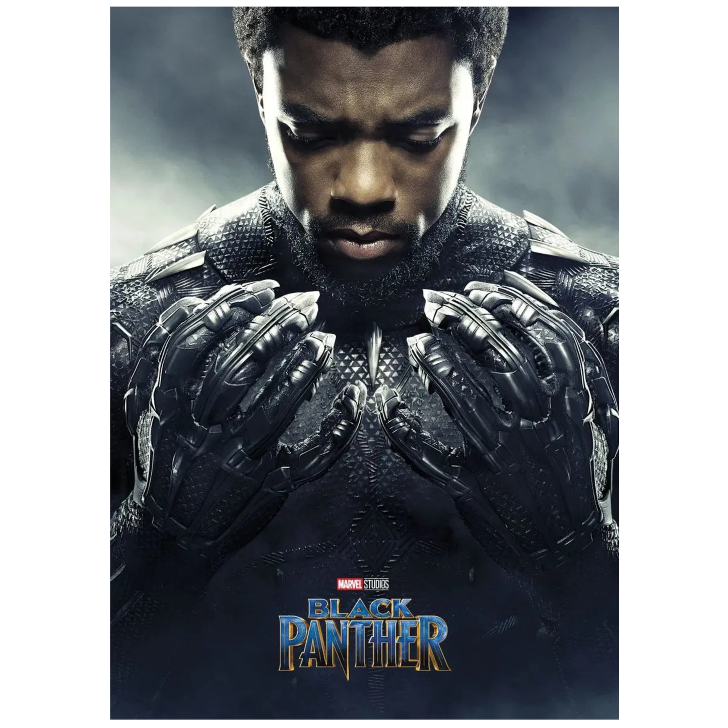 Black Panther Marvel Studios Movie Poster