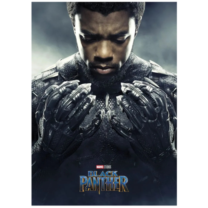 Black Panther Marvel Studios Movie Poster