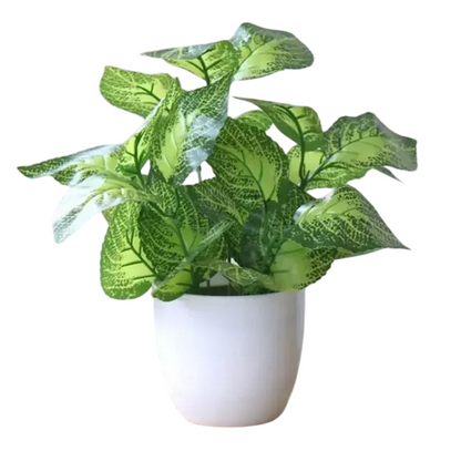 Artificial Plant