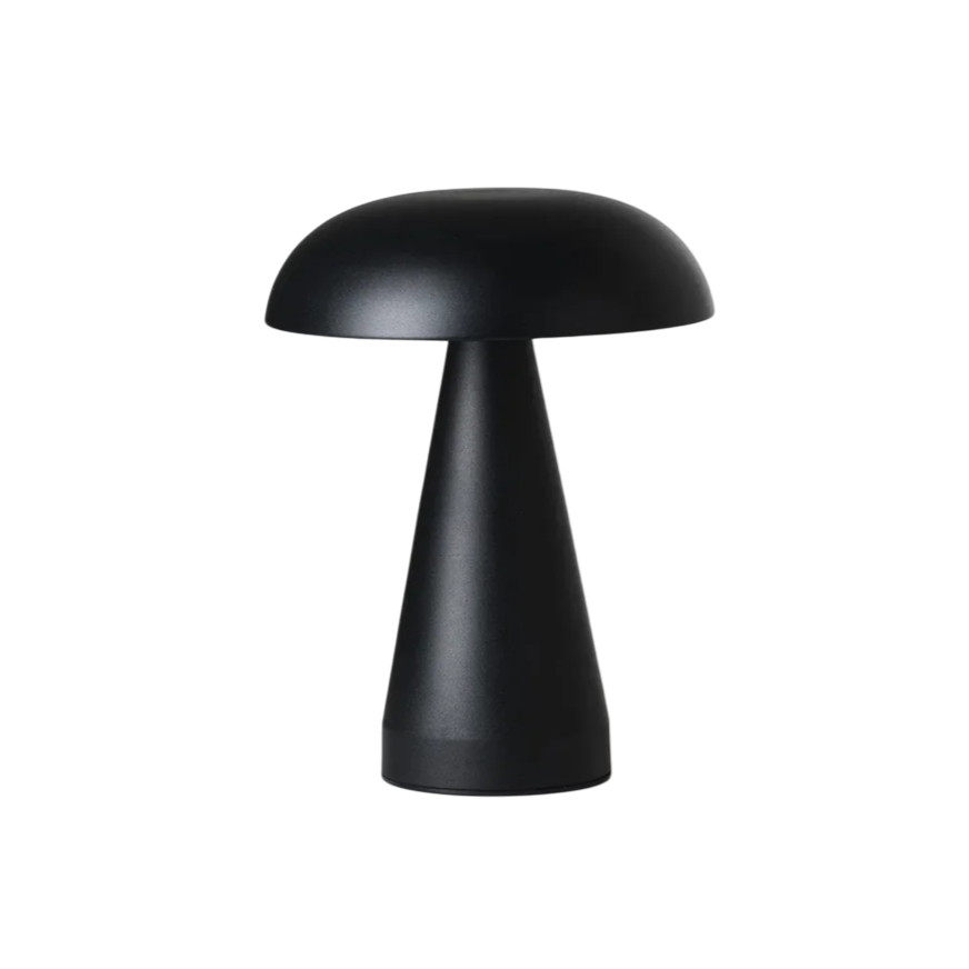 Metalic Lamp